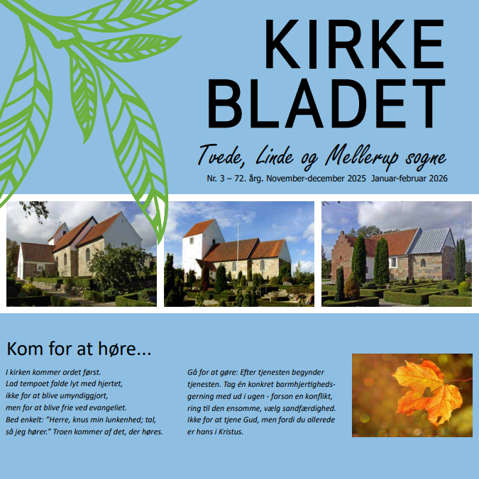 skærmbillede 2025-11-18 131701